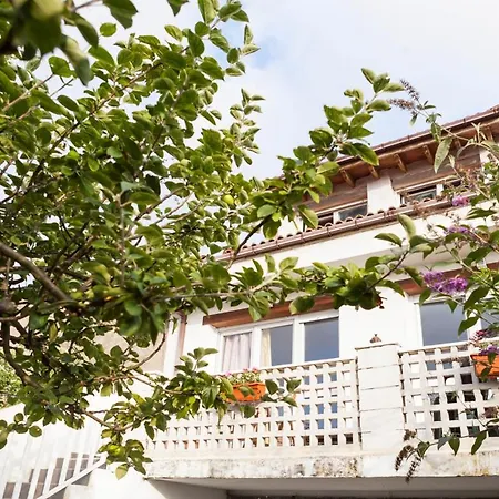 Estrella Del Norte Homestay