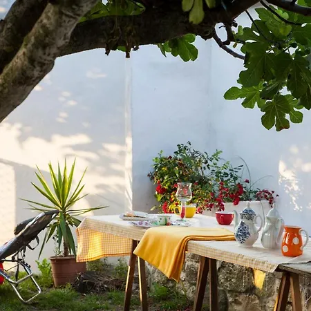 Estrella Del Norte Homestay
