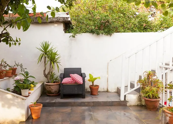 Estrella Del Norte *