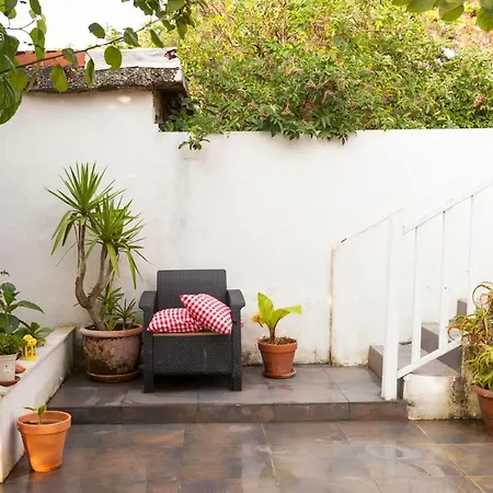 Estrella Del Norte *