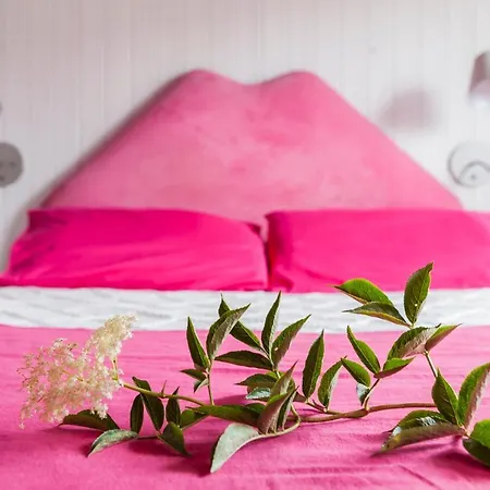 Estrella Del Norte Pansiyon *